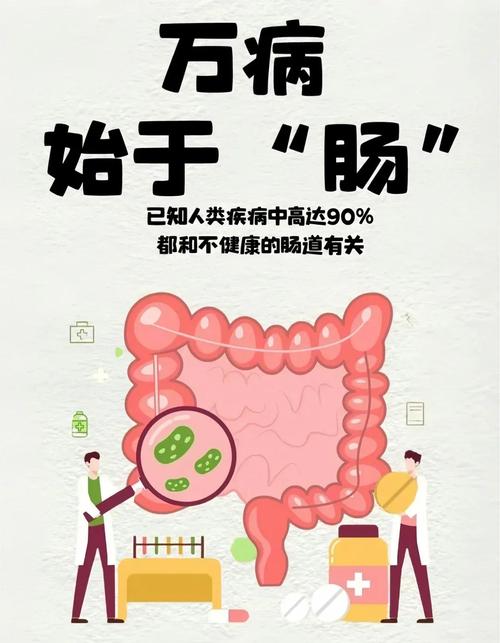 肠道健康:预防疾病的基石
