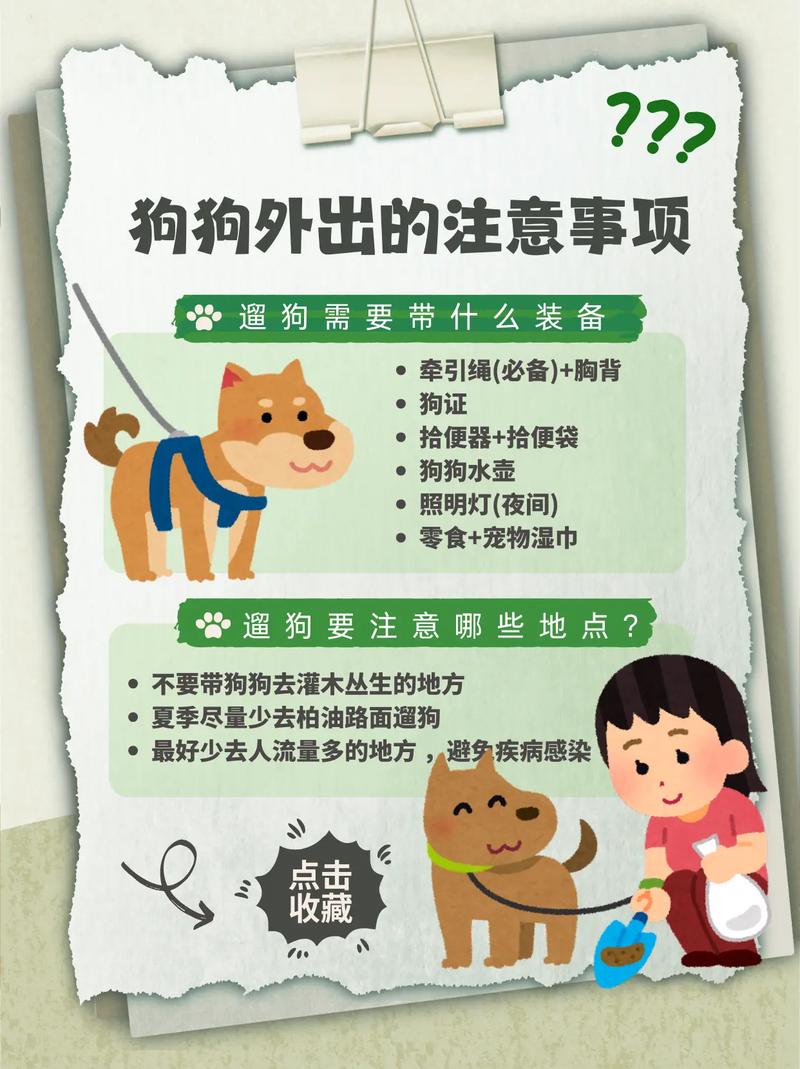 狗狗虽可爱，相处有讲究：这份防犬抓咬安全手册请查收