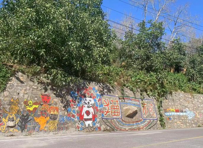 河北阜平“猫村”：200多只猫咪当家作主，废弃山村变身网红打卡地