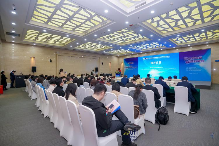 中国跨境电商发展与南南合作新机遇主题交流会在日内瓦举行：从“买全球、卖全球”到“链全球”