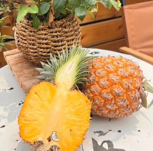 🥭🍍 绝美芒果凤梨,甜到心坎!