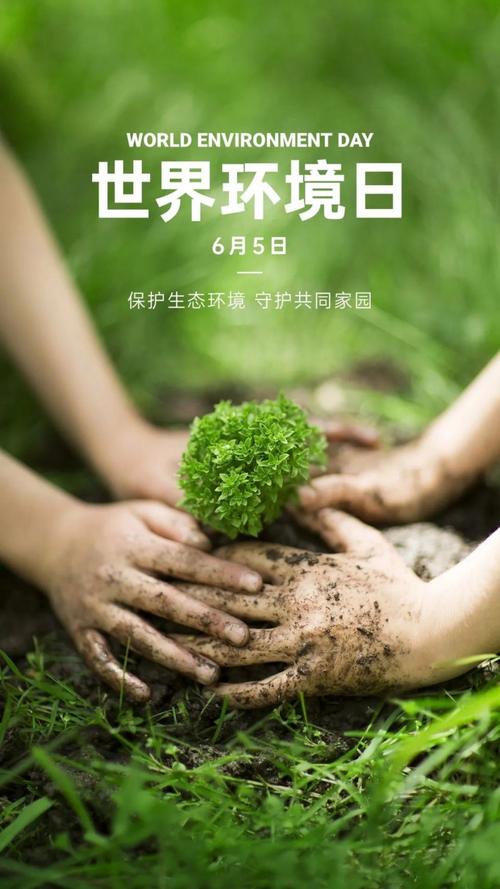 世界环境日：于细微处涵养生态新风，点滴之间守护美丽中国